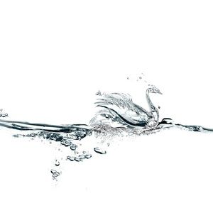 Meet your Posher, Melinda